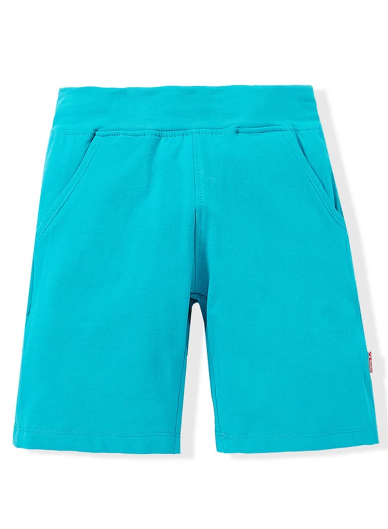 NAME IT Viking Shorts