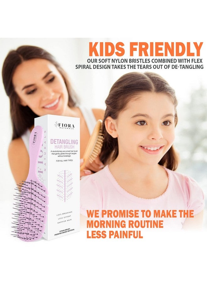 فيورا ناتشيورالز فرشاة فك تشابك الشعر من فيورا ناتشورالز - فرشاة فك تشابك الشعر صديقة للبيئة بنسبة 100% بشعيرات فائقة النعومة - تنزلق بسهولة خلال التشابك - للشعر المجعد والناعم والأسود الطبيعي، للنساء والرجال والأطفال - للشعر الجاف والمبلل - Image 3