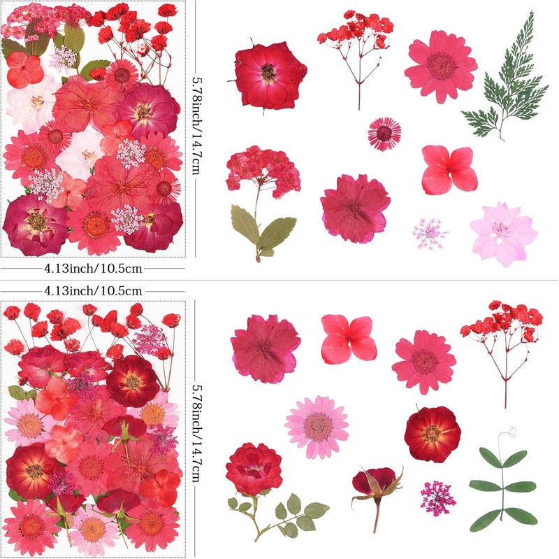 Xinxinran 110Pcs Red Dried Pressed Flowers for Crafts, Dry Flower Kit for Resin Molds,Epoxy Resin Accessories,Bookmark,Nails, Jewelry Molds,Candle Making Supplies,Soap,Frame - Image 2