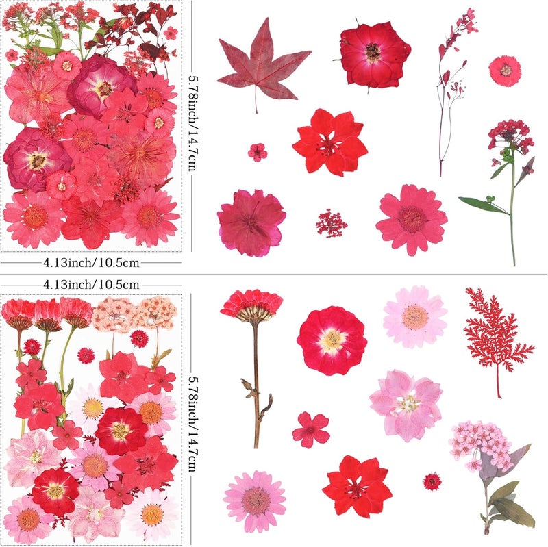 Xinxinran 110Pcs Red Dried Pressed Flowers for Crafts, Dry Flower Kit for Resin Molds,Epoxy Resin Accessories,Bookmark,Nails, Jewelry Molds,Candle Making Supplies,Soap,Frame - Image 3