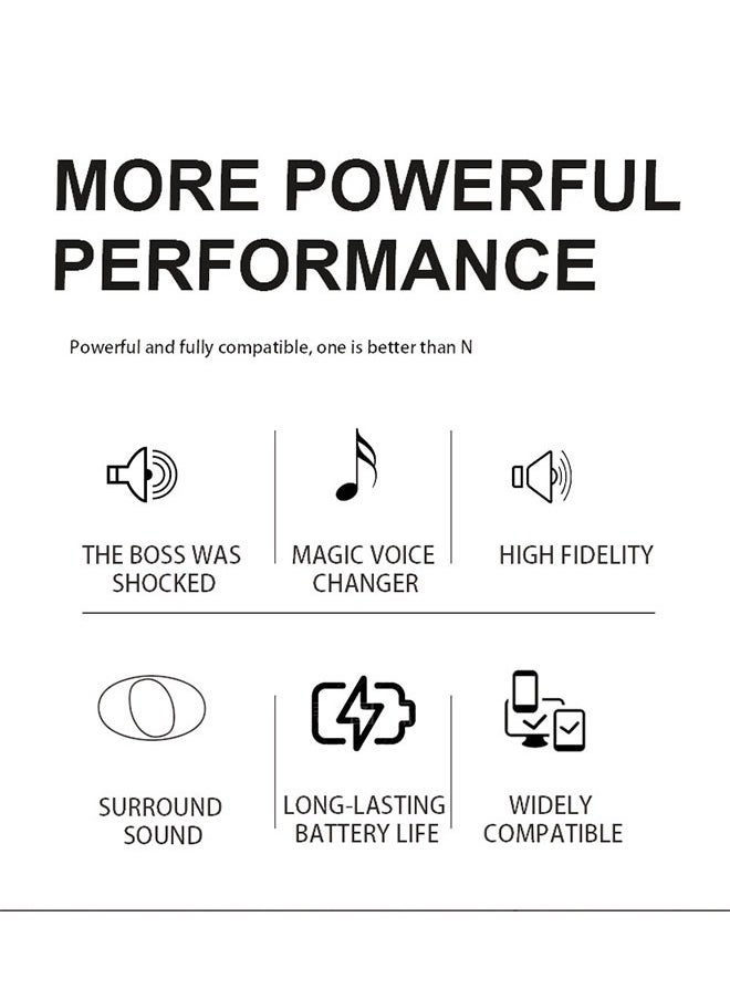 Coconut KD203KTV family set speaker with microphone all-in-one machine YS203 dual microphone Bluetooth singing karaoke speaker  - Image 4