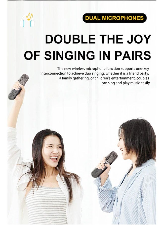 Coconut KD203KTV family set speaker with microphone all-in-one machine YS203 dual microphone Bluetooth singing karaoke speaker  - Image 3