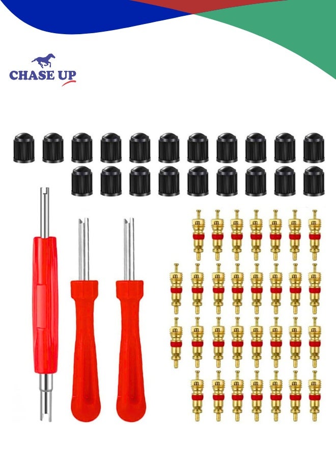 Chase Up Valve Core Remover With 20Pcs Schrader Valve Cores Dual Single Head Valve Core Remover Tire Repair Tool, Red, Cartool01 - Image 1