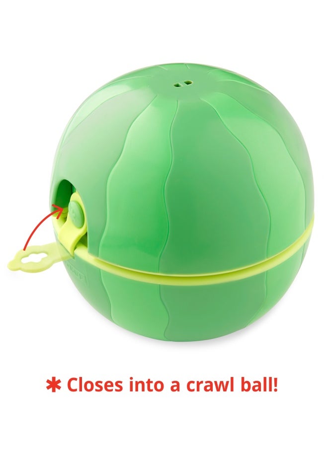 Skip Hop - Farmstand Rattle Melon Drum - Image 1