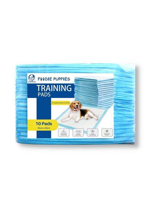وسادة تدريب الحيوانات الأليفة على التبول والتبرز (45×60 سم - 10 وسادات) للجراء والكلاب | حماية ضد التسرب | فائقة الامتصاص | محايدة للرائحة | تصميم متعدد الطبقات - Image 1