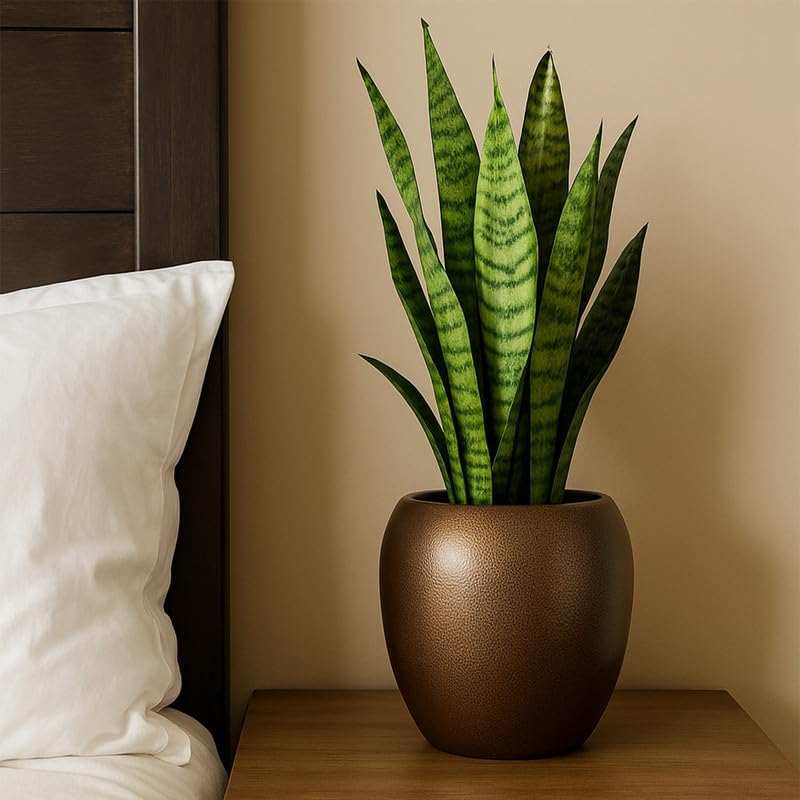 CINAGRO Metal Planter Pot for Indoor Plants, Round Decorative Flower Pot, Rust-Resistant, Modern Plant Holder for Home, Balcony, Office (13.97 x 12.7 cm, Bronze Calm) - Image 1