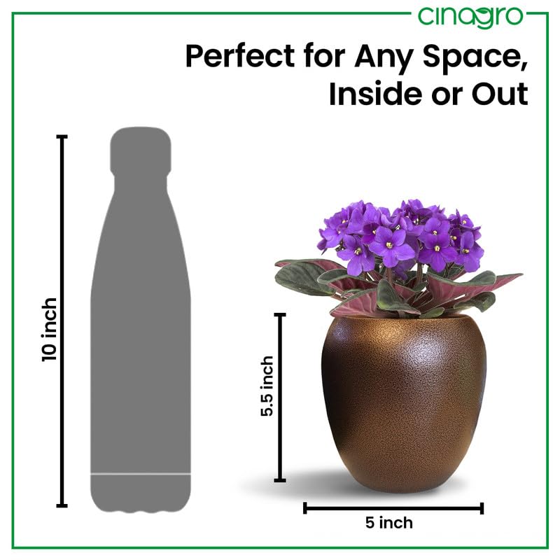 CINAGRO Metal Planter Pot for Indoor Plants, Round Decorative Flower Pot, Rust-Resistant, Modern Plant Holder for Home, Balcony, Office (13.97 x 12.7 cm, Bronze Calm) - Image 4