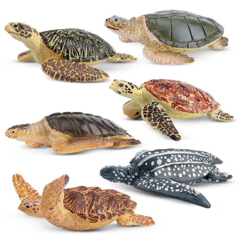 Toymany 6PCS Realistic Sea Turtle Figurines Plastic Ocean Sea Animals Figures Set Includes of Turtles Educational Toy Cake Toppers Christmas Birthday Gift for Kids Toddlers - Image 2