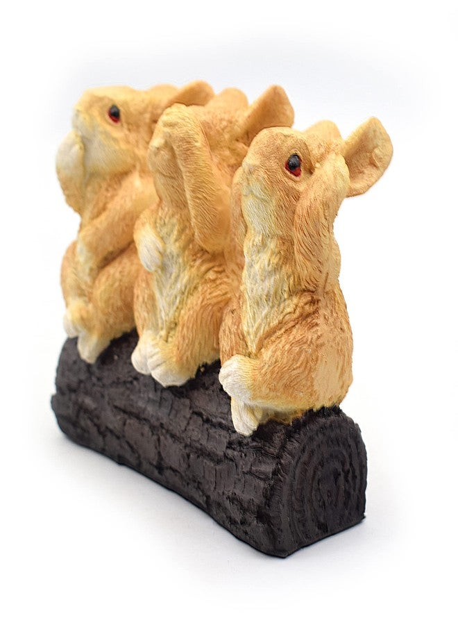 Dalvkot Three Squirrels Showpiece Figurine for Home Decor, Living Room and Office - Image 4