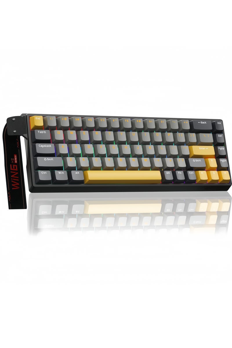 AULA WIN68 HE MAX Gaming Keyboard, RGB Backlit Wired Mechanical Gaming Keyboard, Adjustable Actuation Fast Trigger Mode, 8KHz Polling Rate, Hall Effect Magnetic Keyboard - Image 1