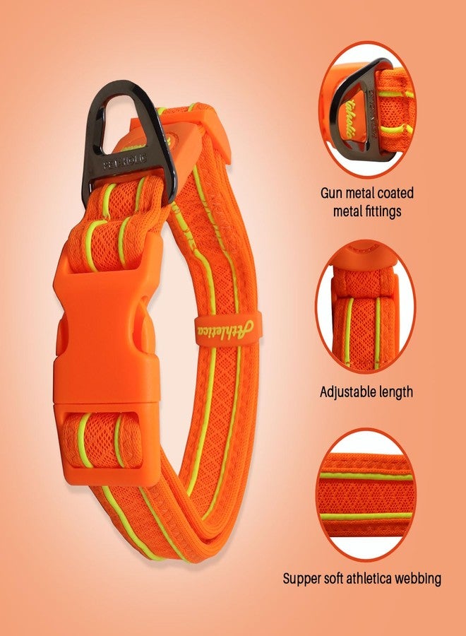 Plushmate x Petaholic Soft Athletica Webbing Adjustable Dog Neck Collar Belt with Quick Release ABS Buckle and Super Strong Metal D Ring Suitable for Small, Medium and Large Dogs (Large, 32 mm) - Image 2