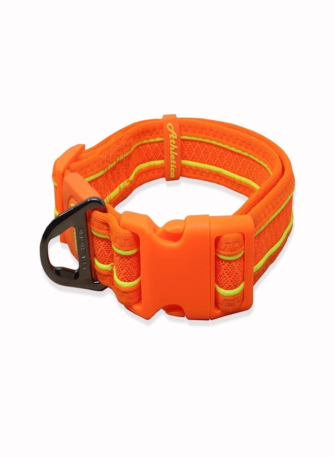 Plushmate x Petaholic Soft Athletica Webbing Adjustable Dog Neck Collar Belt with Quick Release ABS Buckle and Super Strong Metal D Ring Suitable for Small, Medium and Large Dogs (Large, 32 mm) - Image 1