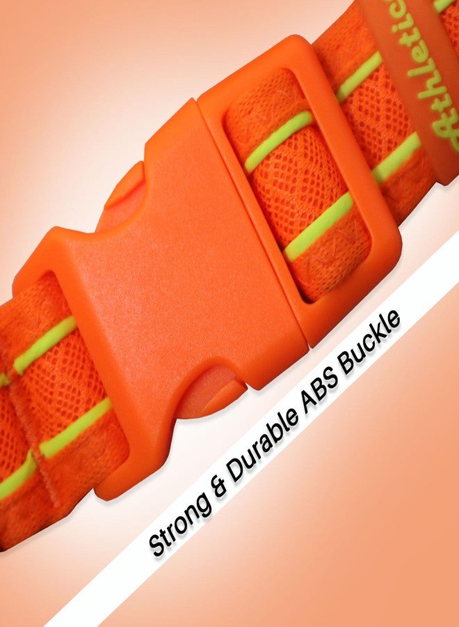 Plushmate x Petaholic Soft Athletica Webbing Adjustable Dog Neck Collar Belt with Quick Release ABS Buckle and Super Strong Metal D Ring Suitable for Small, Medium and Large Dogs (Large, 32 mm) - Image 3