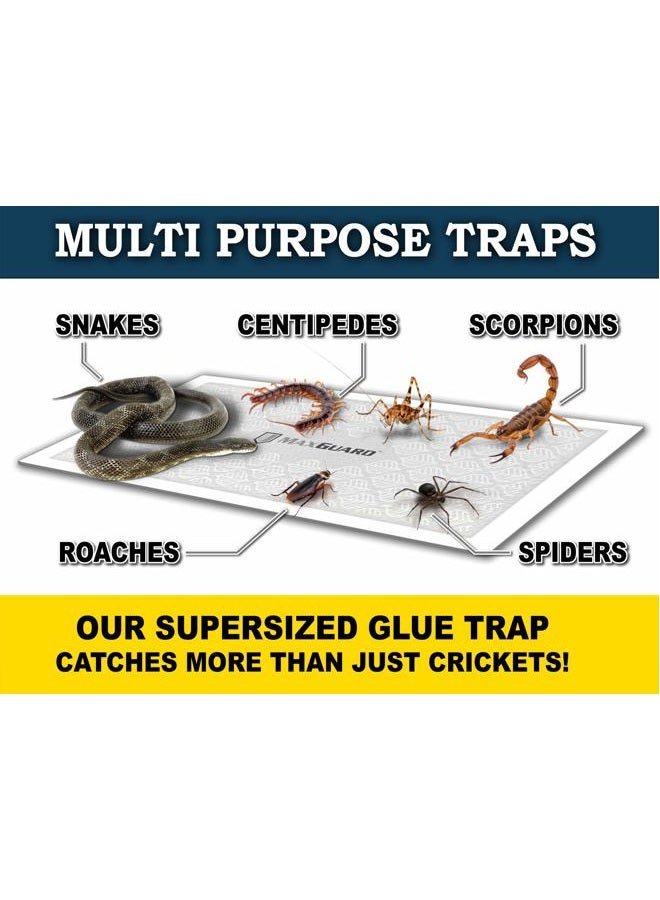 MaxGuard Extra Large Cricket Traps (8 Traps) | Non-Toxic Extra Sticky Glue Board Pre-Baited Cricket Attractant | Trap & Kill House Crickets, Insects, Spiders, Bugs | - Image 5