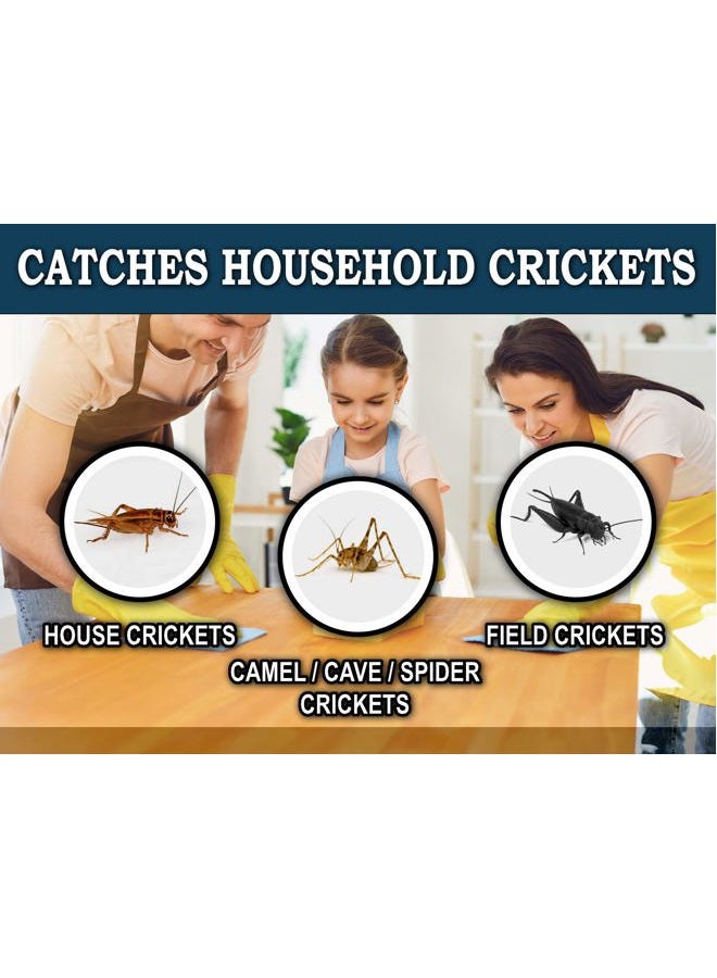 MaxGuard Extra Large Cricket Traps (8 Traps) | Non-Toxic Extra Sticky Glue Board Pre-Baited Cricket Attractant | Trap & Kill House Crickets, Insects, Spiders, Bugs | - Image 4