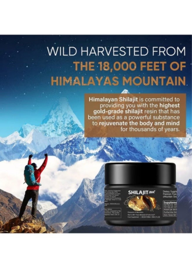 SHILA 100% Pure Himalayan Shilajit Resin – High Purity Energy & Wellness Boost – 30g/50g  - Image 2