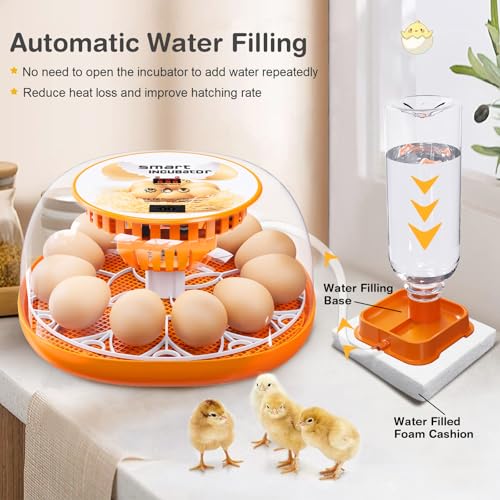 Viowey 12 Egg Incubator with Automatic Egg Turning and Temperature Control, Automatic Water Adding, LED Egg Candler, Incubators for Hatching Eggs, Chickens, Ducks, Quail, Goose Eggs - Image 4