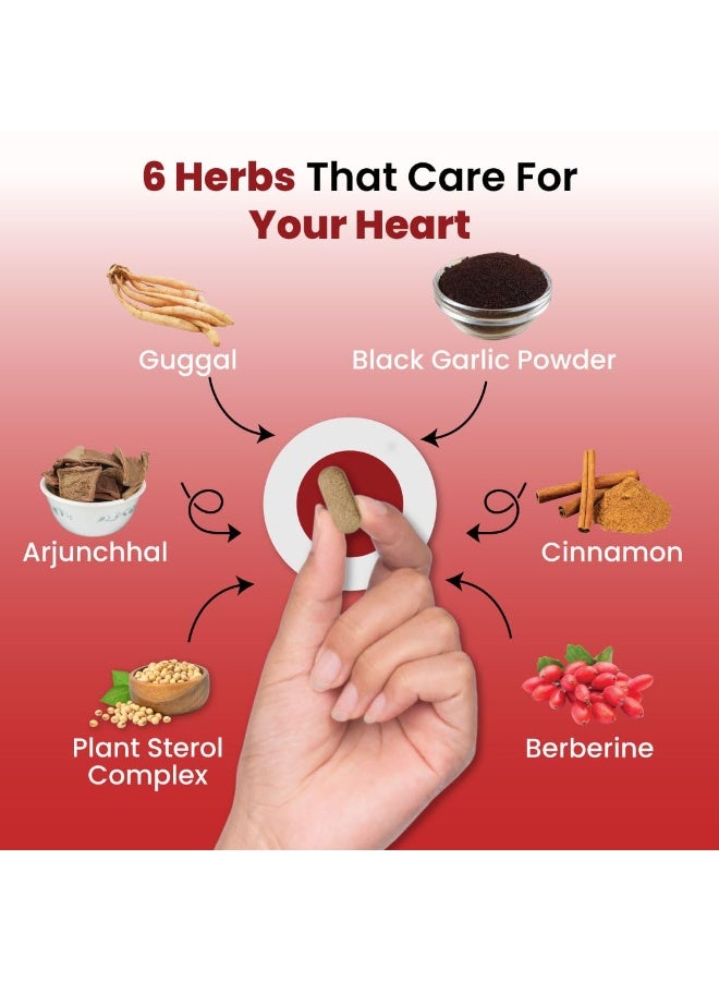 ZEROHARM Holo Heart Tablets | Plant-based Heart Health Supplements | Prevents Coronary Artery Diseases, Heart Blockages for Men & women | Manages Lipid Profile Advanced Nanotechnology | 60 Tablets - Image 4