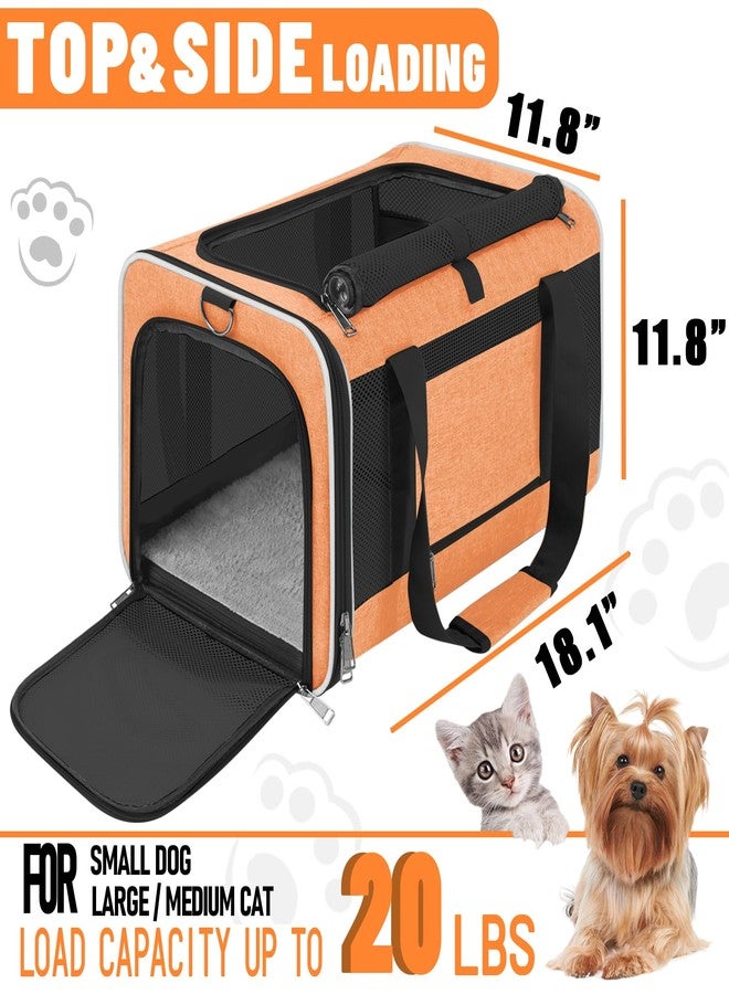 GAPZER Large Cat Carry Bag, Soft Shell Shih-Tzu Pet Transport Crate, 18x12x12 Top Opening Maltese-Dog Traveling Mesh Kennel 10 Pound, Big Bunny Rabbit Carrying Case Animal Carrier Kitty Product Orange - Image 3