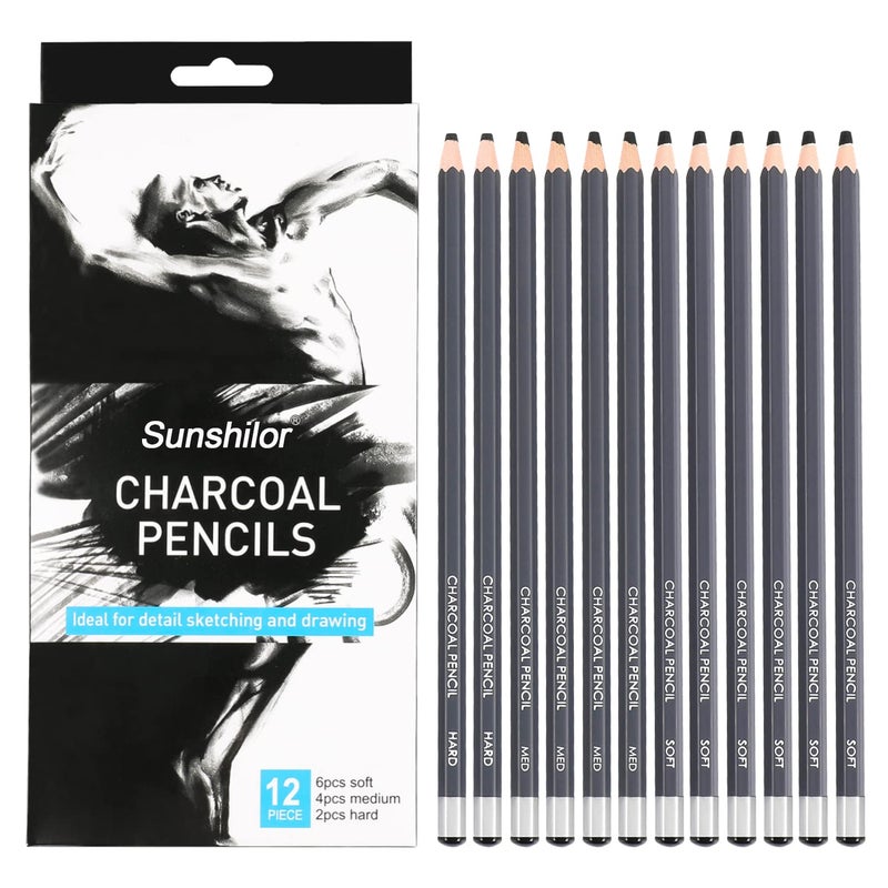 Sunshilor Professional Charcoal Pencils Drawing Set 12 Pieces Soft Medium Hard Charcoal Pencils for Drawing Sketching Shading Artist Pencils for Beginners Artists