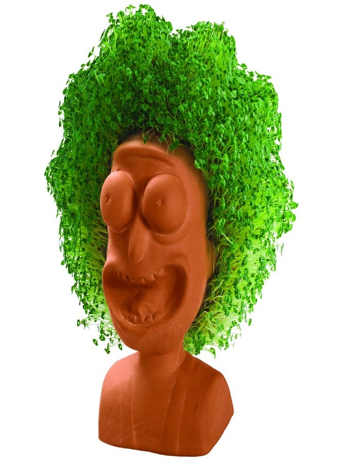 Chia Pet Rick & Morty - Rick with Seed Pack, Decorative Pottery Planter, Easy to Do and Fun to Grow, Novelty Gift, Perfect for Any Occasion - Image 3