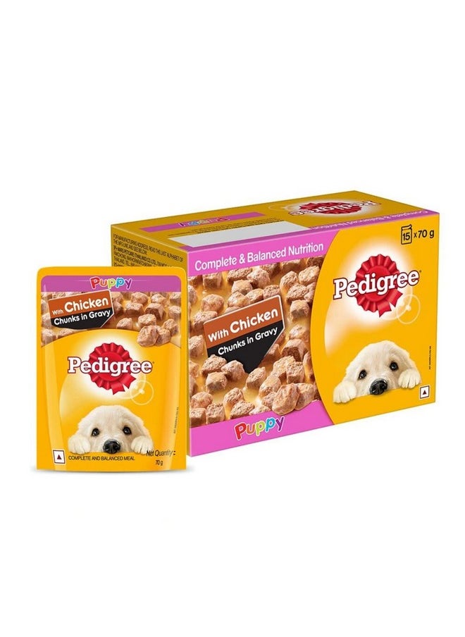 Pedigree Puppy Wet Dog Food, Chicken & Liver Chunks In Gravy, 70 G (Pack Of 15), Made With Real Meat & High Quality Protein, 100% Complete & Balanced Meal For Puppies  - Image 1