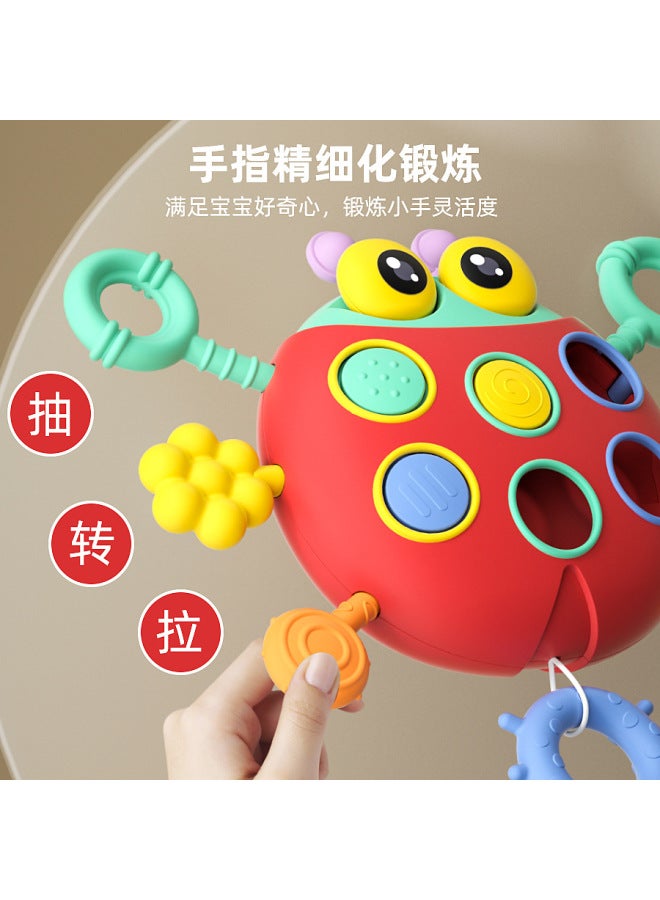 CJ Hot Baby Early Childhood Education Puzzle Soft Glue Soothing Cartoon Ladybug Lala Finger Grip Toy - Image 3