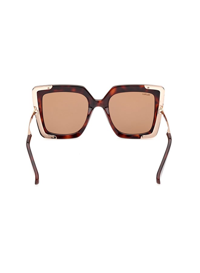 MaxMara Cat Sunglasses For Women - Shiny Light Bronze - Image 5