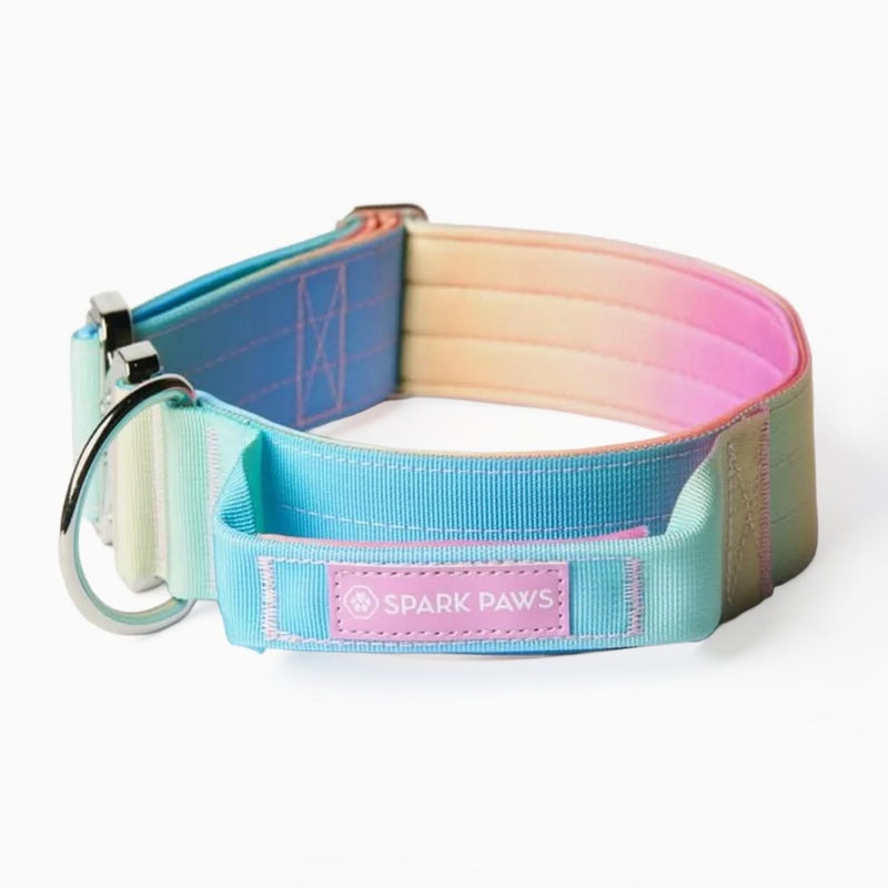 Spark Paws Tactical Dog Collar with Handle Premium Quality Collar Robust and Durable Design for Large Strong Breeds Pitbulls Labradors GSD Pastel Icing L - Image 2
