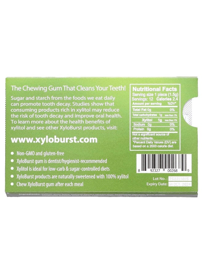 Xyloburst Xyloburst, Xylitol Gum, Green Tea, 12 Pieces - Image 2