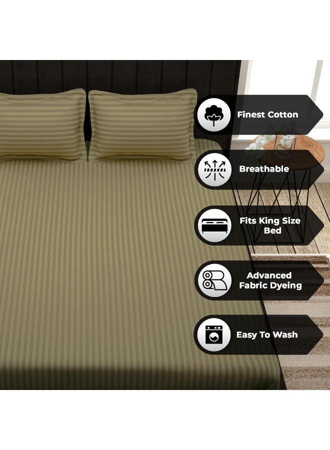 Story@Home Forever XL 300 TC 100% Cotton Satin Stripes Pattern King size Bedsheet With 2 Pillow Cover, Light Brown - Image 2