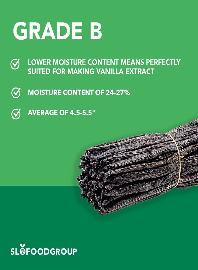 Slofoodgroup - Madagascar Vanilla Beans - Extract Grade B Vanilla Pods - 10 Count - Extraction Grade Bourbon Vanilla Planifolia - For Cooking, Baking, and Vanilla Extract - Image 3