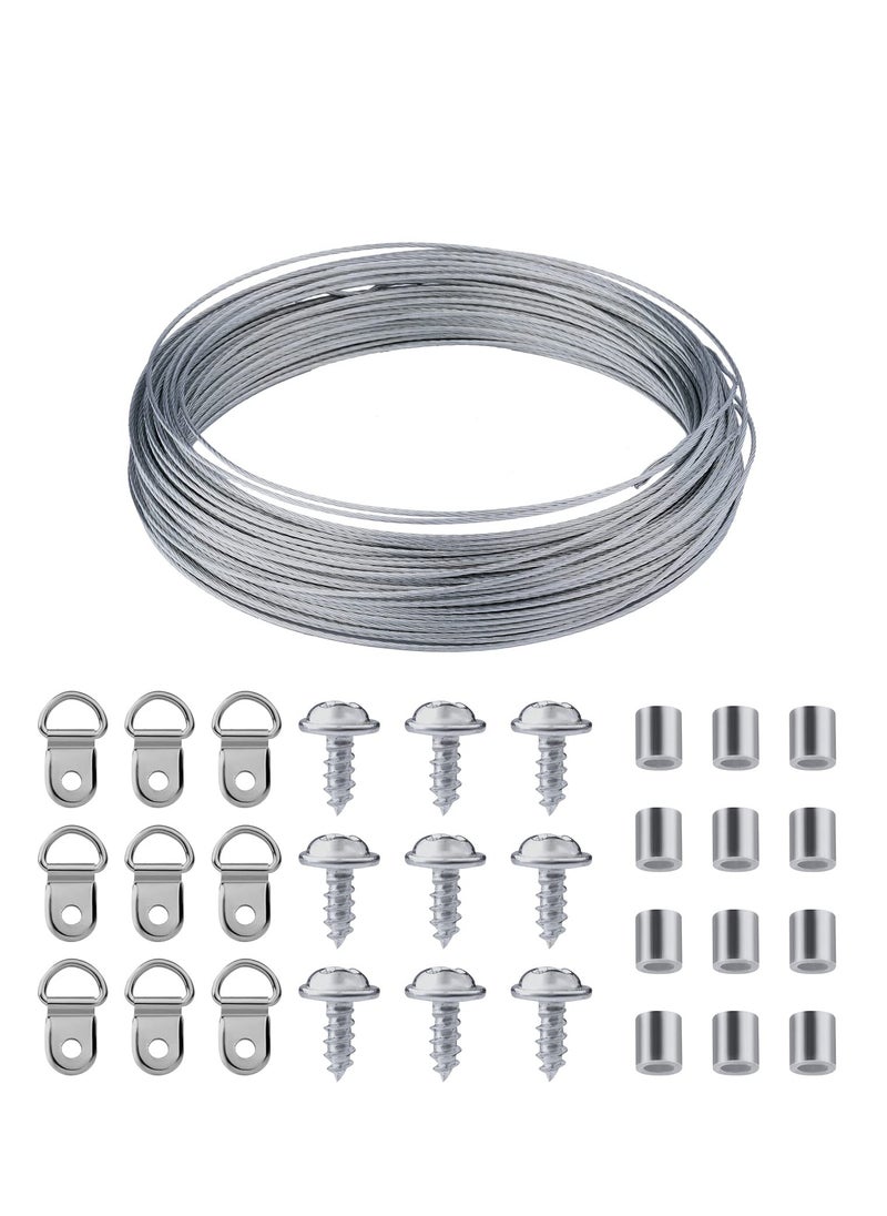 KASTWAVE - Picture Hanging Wire Kit Wall Hooks for Hanging Pictures with Wire Screw D Ring Loop Sleeves for Picture Frame Mirror Art - Image 1