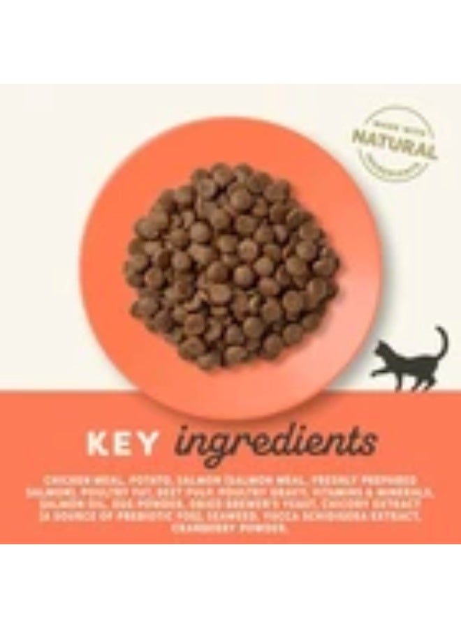 آبلاوس طعام القطط البالغة الجاف الكامل والخالي من الحبوب من أبلاوز، دجاج، 2 كجم - Image 2