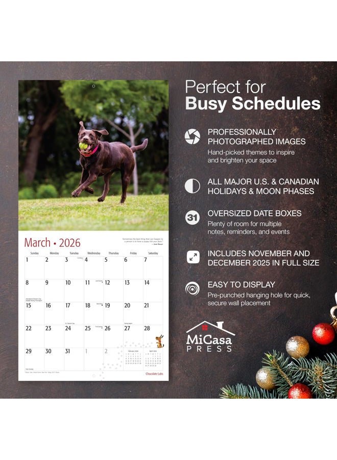 MICASA PRESS MICASA Chocolate Labs 2026 Wall Calendar 12 Month | 12" x 24" Open | Thick & Sturdy Paper | Giftable | Calendar 2026 - Image 2