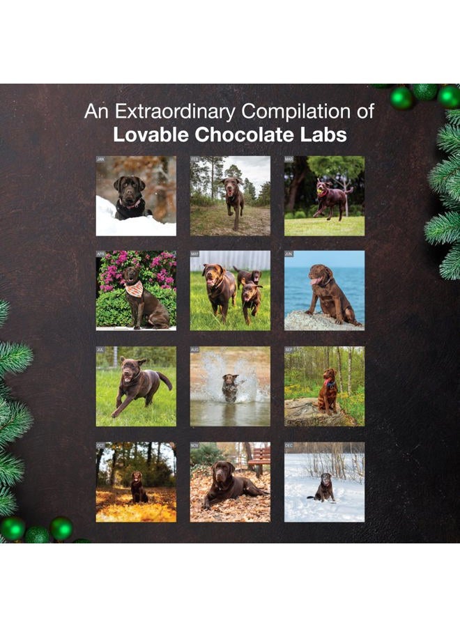 MICASA PRESS MICASA Chocolate Labs 2026 Wall Calendar 12 Month | 12" x 24" Open | Thick & Sturdy Paper | Giftable | Calendar 2026 - Image 3