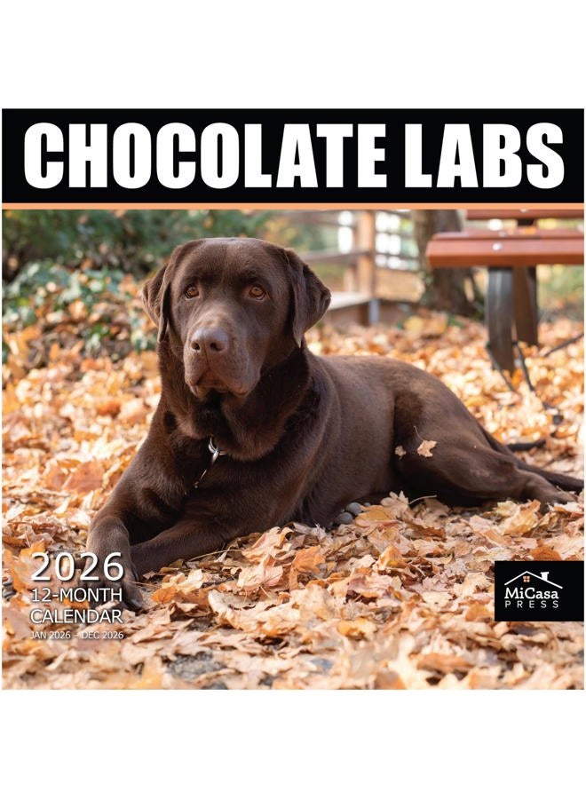 MICASA PRESS MICASA Chocolate Labs 2026 Wall Calendar 12 Month | 12" x 24" Open | Thick & Sturdy Paper | Giftable | Calendar 2026 - Image 1