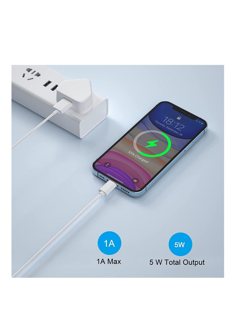 NTECH (4 Pack) USB Plug UK Mains Charger, USB Wall Plug Adaptor UK Compact Power USB Adapter Socket Charge Head 5V/1AMP Multipack Single Port Charging for iPhone 11/10/Xs/XS Max/XR/X/8/7/6 Plus/5/4, - Image 4