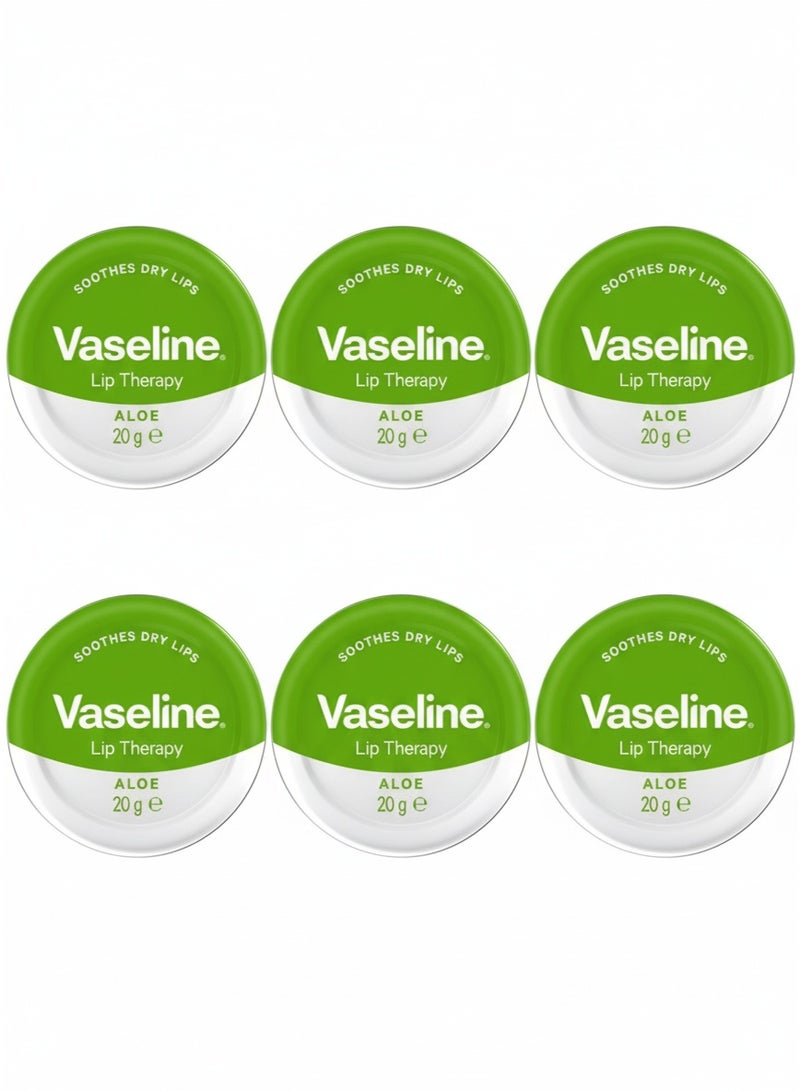 فازلين باقة من 6 عبوات مرطب الشفاه ثيرابي بصبار الالوفيرا 20 غرام من فازلين