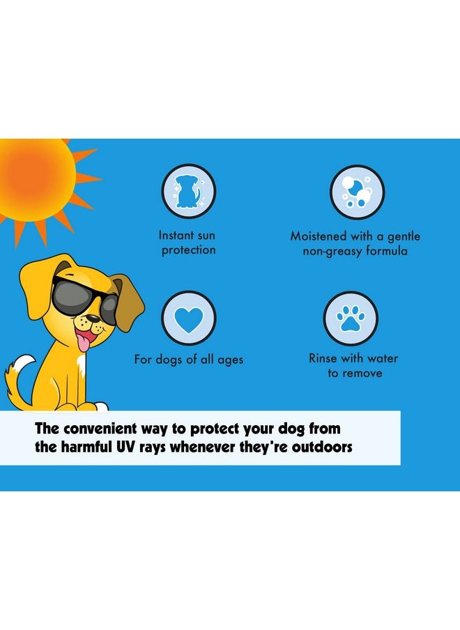 Petkin - Petkin Dog Sunscreen Sunstick - Sunscreen for Dogs and Puppies, SPF 15 - Simply Rub on Anytime for Instant Sun Protection - Vanilla Coconut Scent, .5 oz Net Weight - Ideal for Home or Travel - Image 1