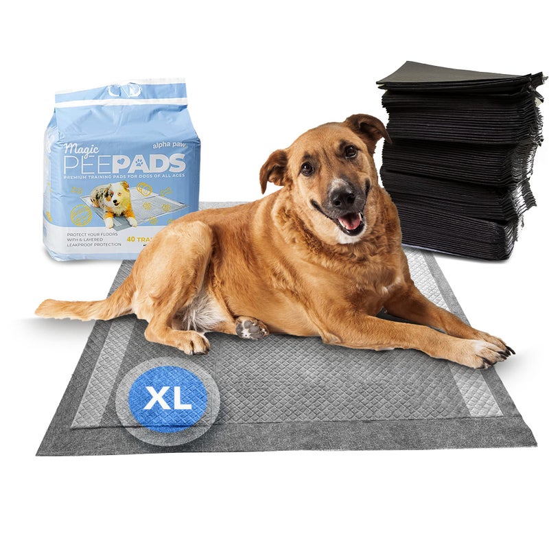 Alpha Paw - Magic Dog & Puppy Pee Pads - Puppy Pads with Charcoal, Extra Thick 6 Layers + Gel Tech Absorbs 6 Cups, Advanced Quick-Dry Indoor Wee Wee Pads for Dogs Training - XL Dog Pads 26â€x30â€ 40 CT - Image 1