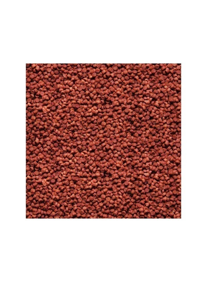 Red Parrot Fish Food Floating Pellets – High Protein Color Enhancing Aquarium Feed for Parrot Cichlids, Improves Growth & Bright Coloration - Image 4