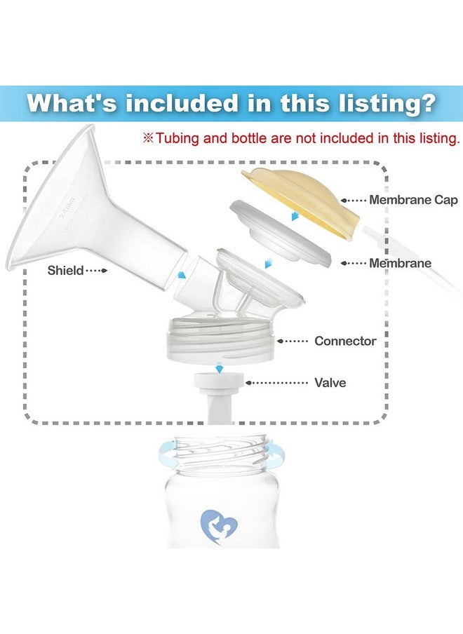 NENESUPPLY Pump Parts 19Mm Compatible With Bellababy Breastpump Baby Bella Baby Minio Double Breastpumps Replace Bellababy Pump Parts Detachable Flange Pump Accessorues Include Valve Membrane  - Image 2