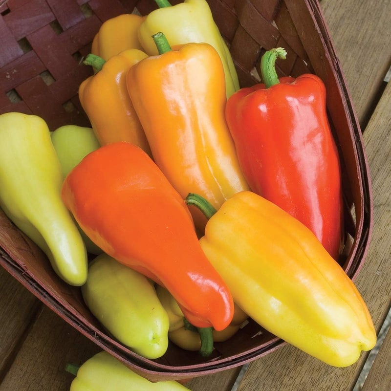 Burpee Gypsy Sweet Pepper Seeds 30 seeds - Image 5
