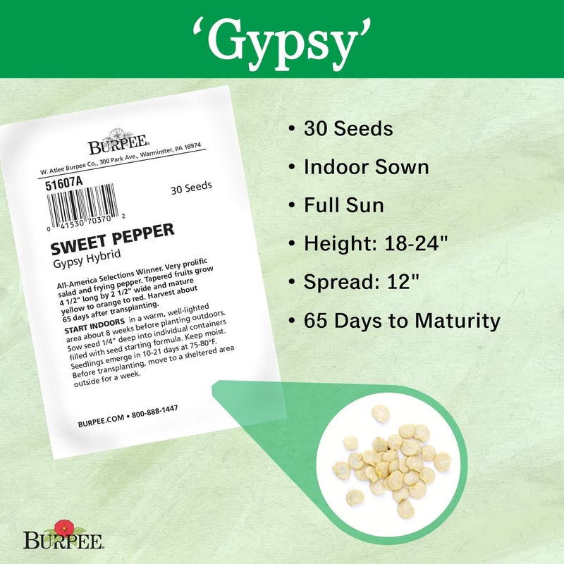 Burpee Gypsy Sweet Pepper Seeds 30 seeds - Image 3