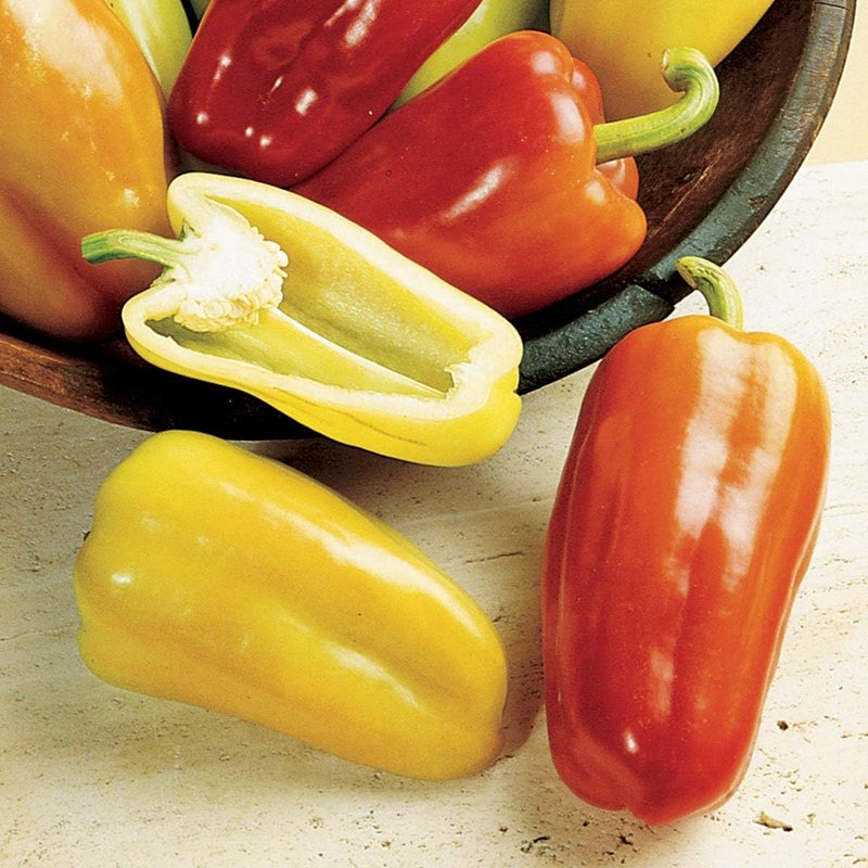 Burpee Gypsy Sweet Pepper Seeds 30 seeds - Image 1