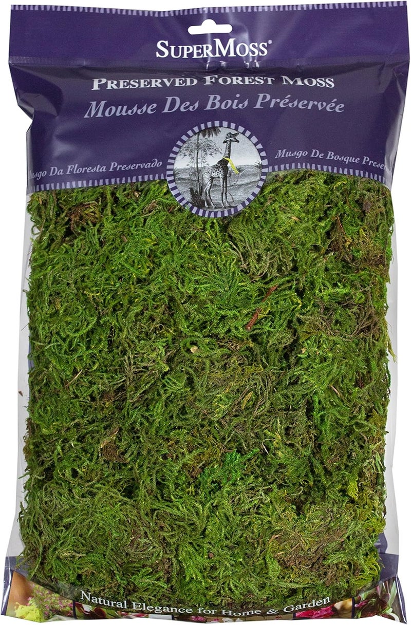 Super Moss Forest Preserved Fresh Green Moss - 8oz - Image 1
