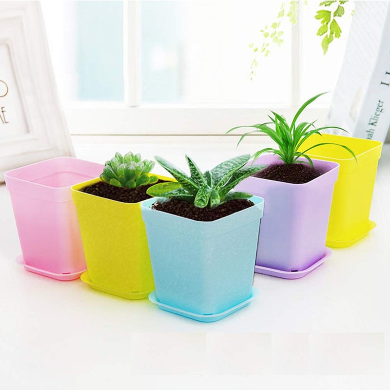 Anyumocz 24 Pack 3inch Multi Color Square Plastic Plant Pots,Seedling Nursery Transplanting Planter Container Indoor Outdoor for Your Room,Garden Office and Balcony Decor - Image 4