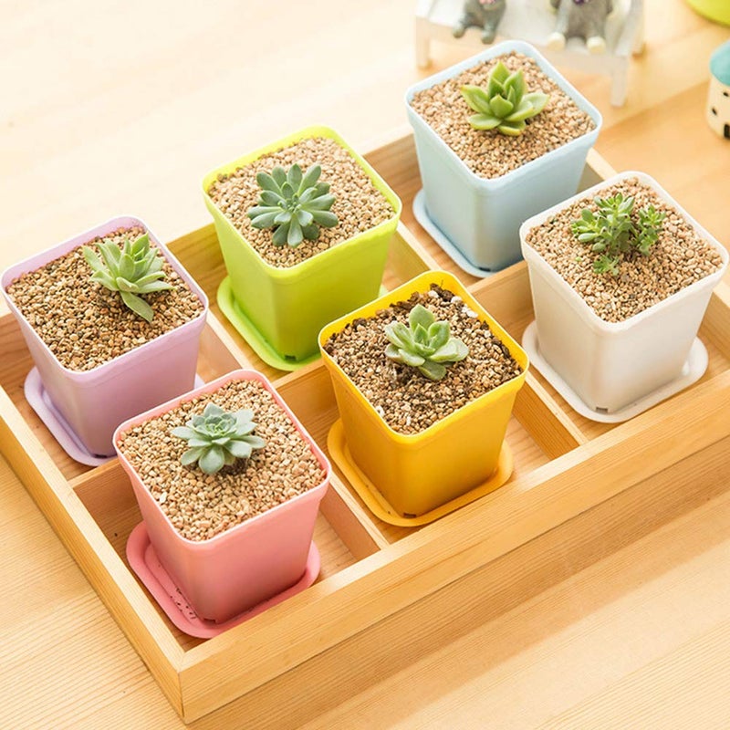Anyumocz 24 Pack 3inch Multi Color Square Plastic Plant Pots,Seedling Nursery Transplanting Planter Container Indoor Outdoor for Your Room,Garden Office and Balcony Decor - Image 5