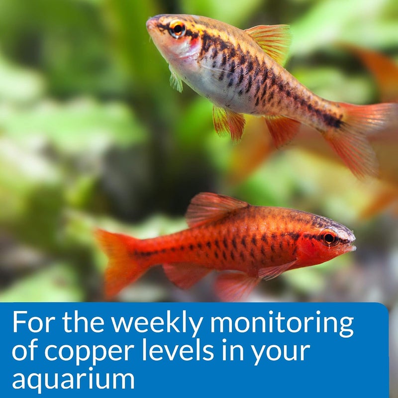 API Copper Test Kit 90-Test Aquarium Water Test Kit - Image 5